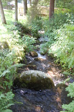 brook
